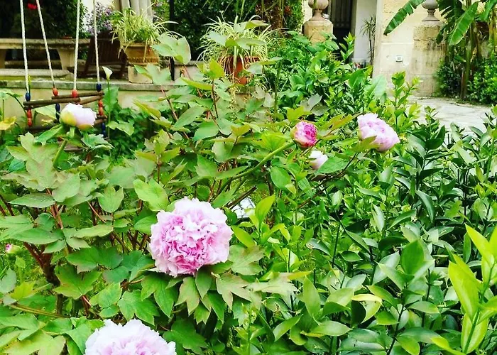 L'orangerie D'epoque ベッド・アンド・ブレックファスト レッチェ