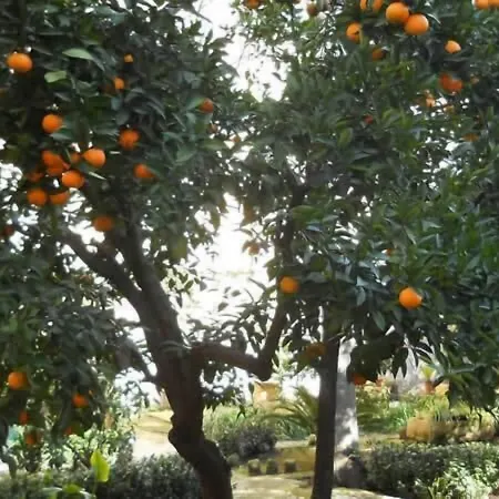 L'orangerie D'epoque Bed & Breakfast 4*