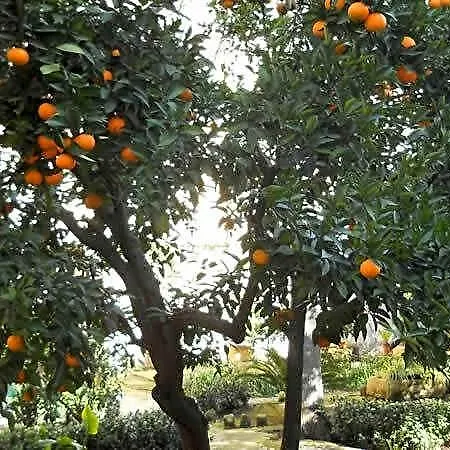 L'orangerie D'epoque Bed & Breakfast