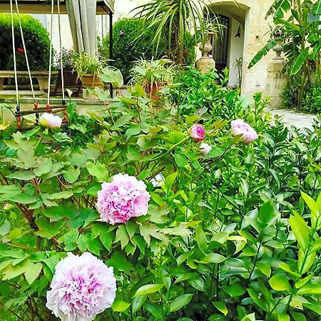 L'orangerie D'epoque 4*