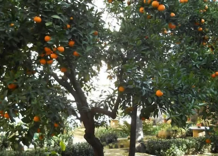 L'orangerie D'epoque Bed & Breakfast 4*